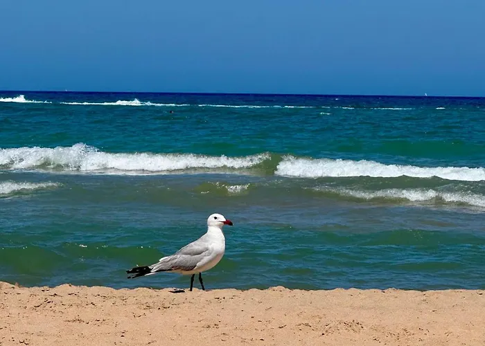 Apartment Sunset Adhara Penthouse - Panoramablick - Wlan